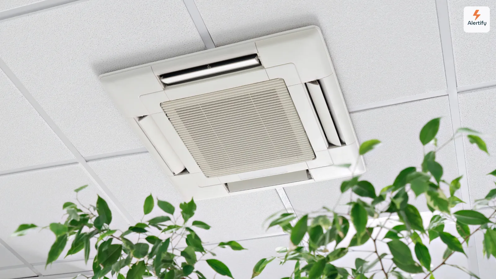 Een aan het plafond gemonteerde airco-cassette in een betegeld plafond, met de bladeren van een kamerplant op de voorgrond.